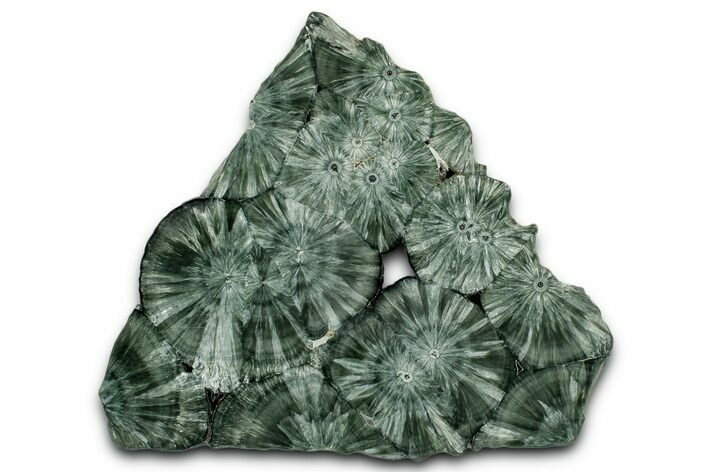 Polished Seraphinite Slab - Korshunovkiy Mine, Siberia #352665